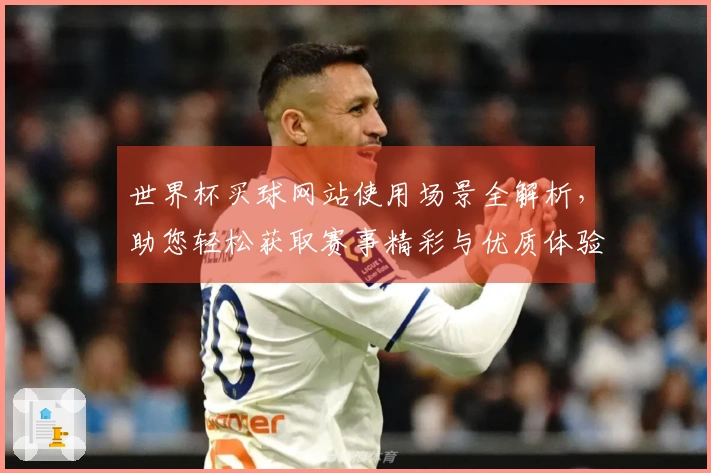 世界杯买球网站使用场景全解析,助您轻松获取赛事精彩与优质体验
