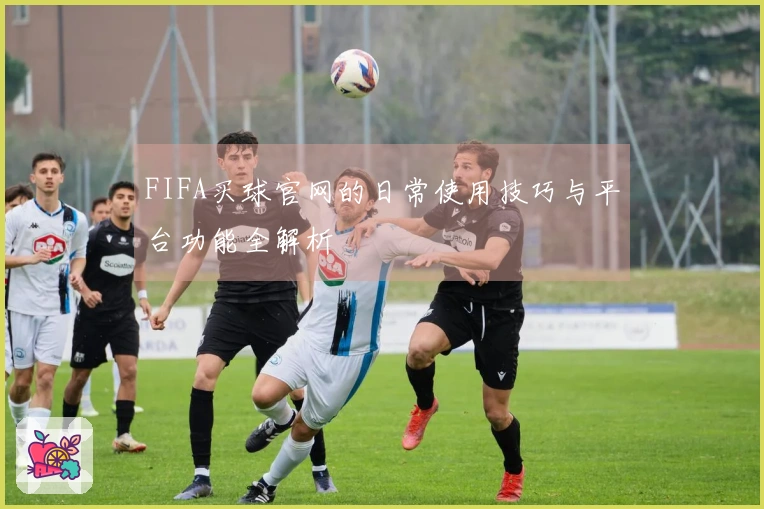 FIFA买球官网的日常使用技巧与平台功能全解析