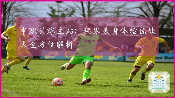 中欧买球主站：玩家亲身体验优缺点全方位解析