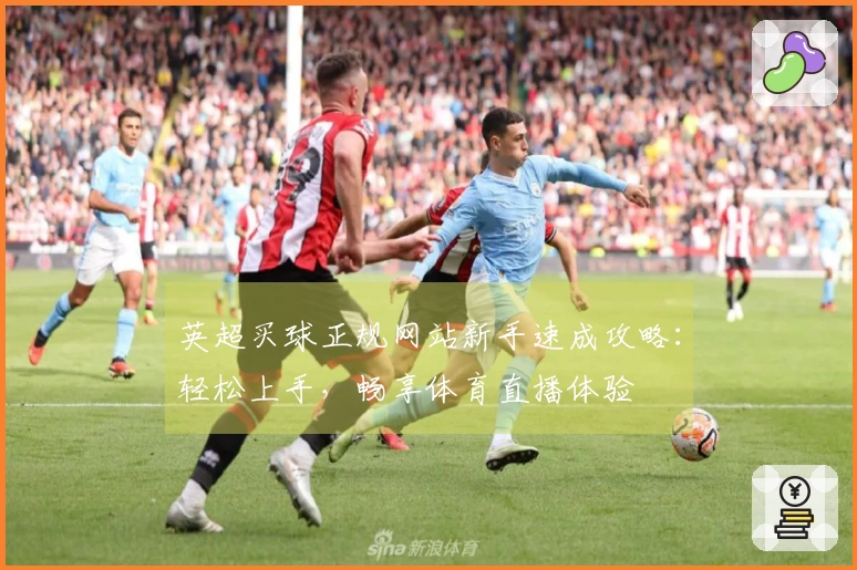 英超买球正规网站新手速成攻略：轻松上手，畅享体育直播体验