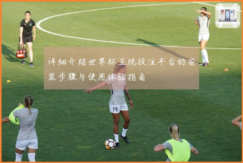 详细介绍世界杯正规投注平台的安装步骤与使用体验指南