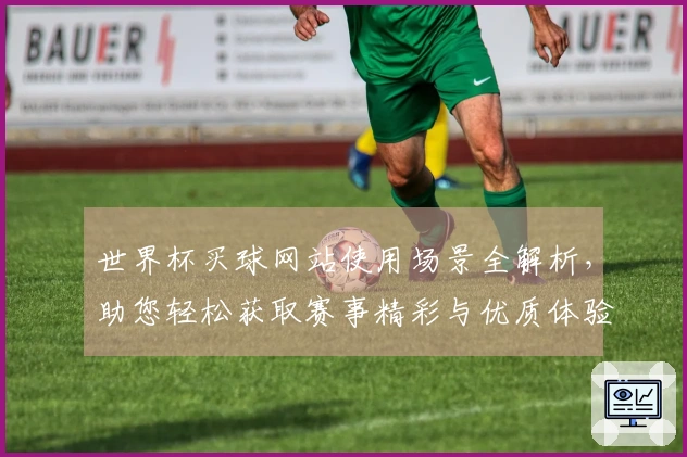 世界杯买球网站使用场景全解析，助您轻松获取赛事精彩与优质体验