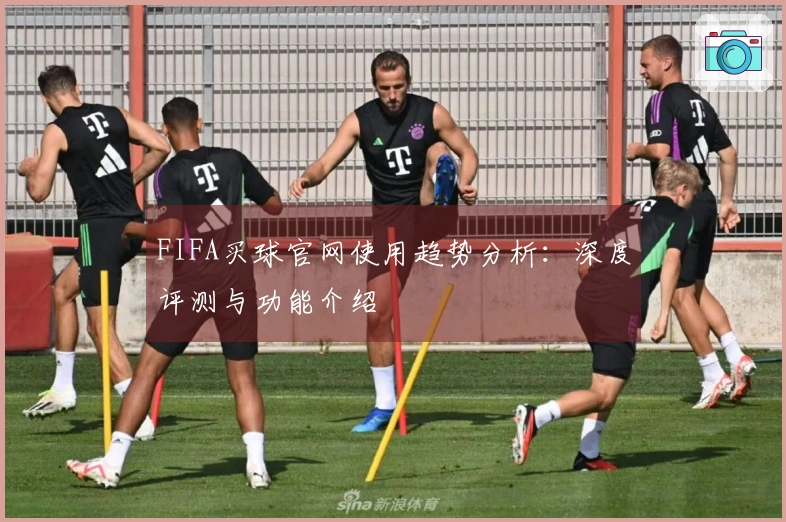 FIFA买球官网使用趋势分析：深度评测与功能介绍