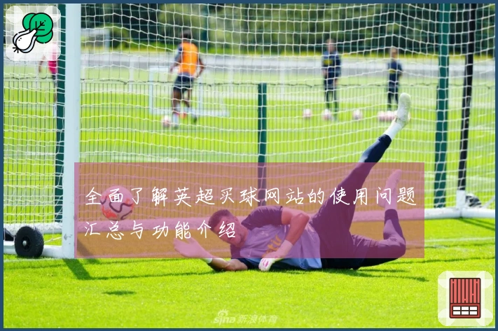 全面了解英超买球网站的使用问题汇总与功能介绍