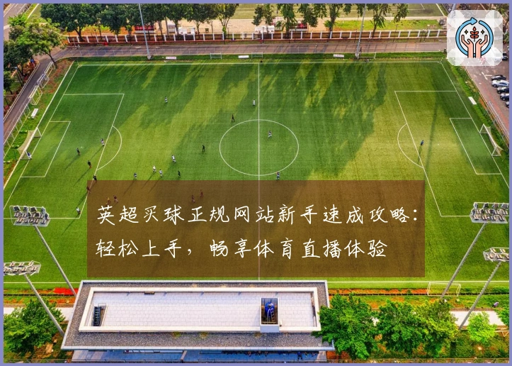 英超买球正规网站新手速成攻略：轻松上手，畅享体育直播体验