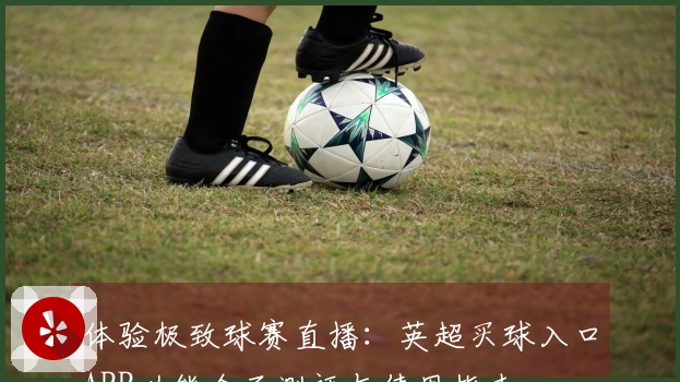 体验极致球赛直播：英超买球入口APP功能全面测评与使用指南